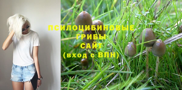 скорость Ладушкин
