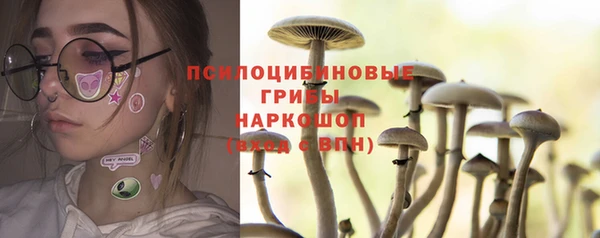 скорость Ладушкин