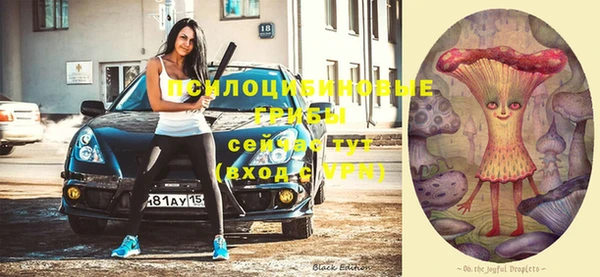 таблы Лиски