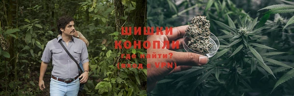 скорость Ладушкин