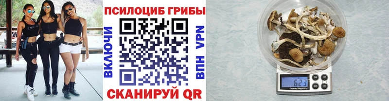 Псилоцибиновые грибы Psilocybine cubensis  Неман 